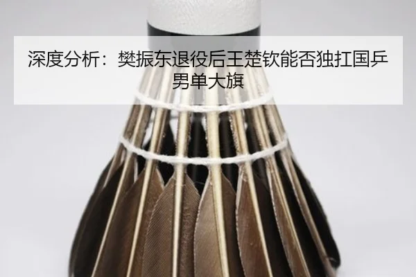 深度分析：樊振东退役后王楚钦能否独扛国乒男单大旗
